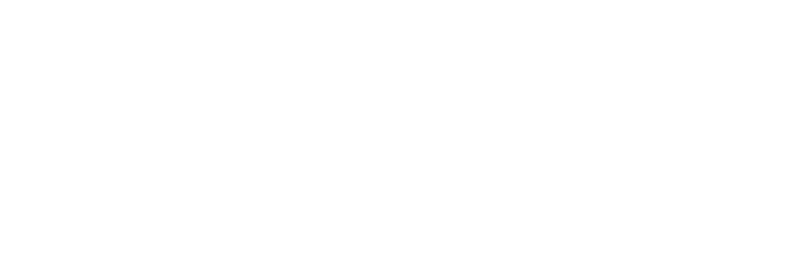 Gerosynth Logo White